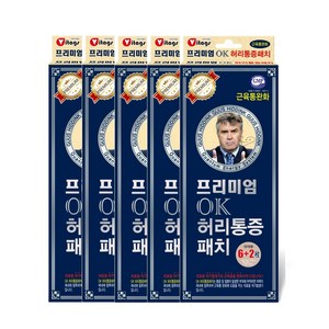 히딩크 프리미엄 ok허리통증패치x5개 허리통증완화/자석패치/동전패치/자석파스, 8개입, 5개