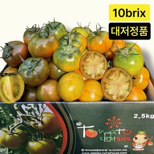 [평점4.9점] 부산 대저 토마토 당일수확, 1개, 2.5kg (소과)