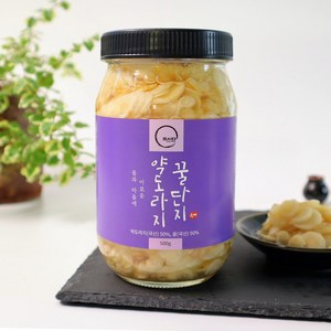 드시다 약도라지꿀단지 500g 도라지청 수제청, 단품(500g), 1개, 1개입