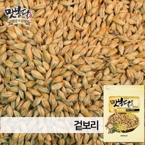 맛봉달 24년 겉보리 통보리 새싹보리키우기 새싹보리씨앗 국내산, 1개, 20kg 마대포장