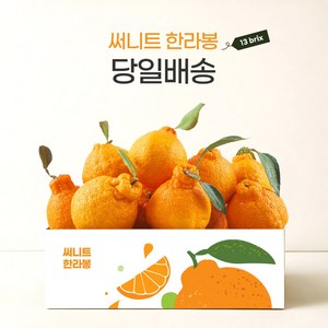 [프리미엄] 13bix 고당도 제주 써니트 한라봉 1kg/2kg/3kg 선물용, 1박스, 대과 1kg (4-5과)