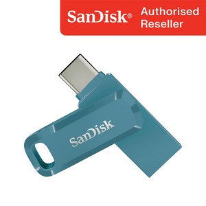 샌디스크 USB 메모리 DDC3 블루 C타입 OTG 3.2 대용량 [10개이상 무료 각인], 128GB