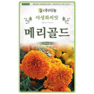다농 메리골드 야생화 씨앗 100립, 1개