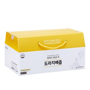 연두팜 아빠의주스 도라지배즙 100ml 20개입 한박스, 2L, 20개