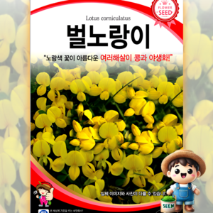 벌노랑이 1g 원예 관상 조경 화단 용 꽃 씨 씨앗 종자 세계종묘