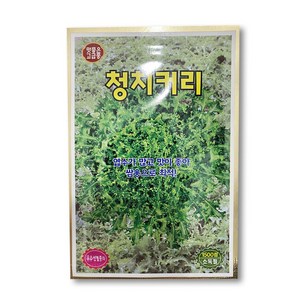 친환경마켓 청치커리 씨앗 (1500립) - 치커리 씨앗 텃밭 주말농장, 1개