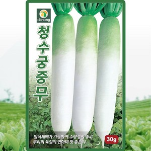 다농 청수궁중무 단무지무 씨앗 30g, 1개