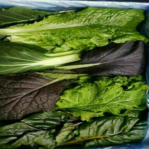 알뜰농장 싱싱 모듬쌈 채소 6~8가지 최상품 모듬 셋트 2kg내외/ 4kg내외, 2kg, 1개
