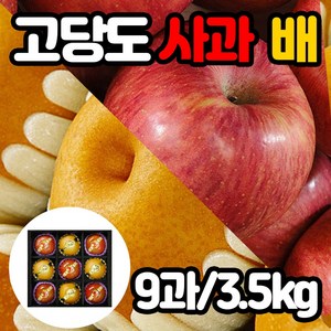 [백화점 납품용] 고당도 엄선 프리미엄 나주 배 경북 사과 혼합 설 선물 세트 설날 명절 구정 추석 과일 선물셋트, 경북 사과 5과 / 나주 배 4과 혼합 3.5kg 내외, 1박스