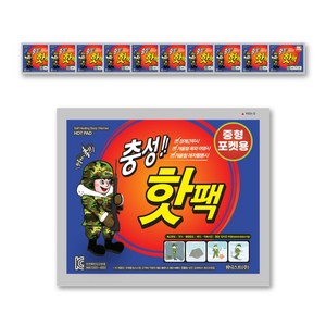 충성핫팩 중형 100g, 100개