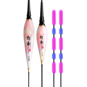 루키드 현영 민물 전자찌 V 낚시찌, V-002 2p, 2개