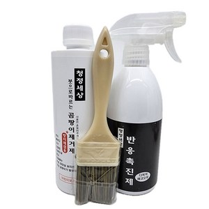 청정세상 곰팡이제거제500g(붓1)+반응촉진제 에코오투500ml1, 1개