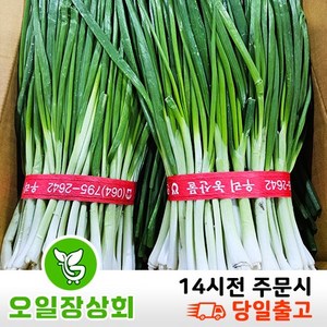 국내산 깐쪽파 1kg내외, 1개, 3kg내외(3단)