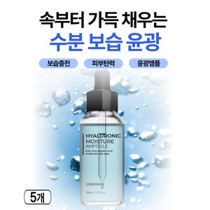 공스킨 히알루로닉 보습 수분 앰플 고농축 히알루론산 케어, 5개, 30ml