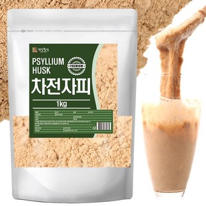 건강중심 차전자피 분말 가루 식이섬유, 1개, 1kg