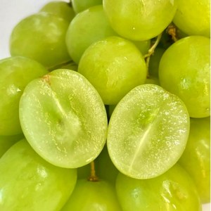 꿀품 어텀크리스피 씨없는 애플청포도, 1박스, 3.2kg 내외