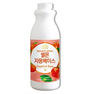 쉘몬 과일농축액 자몽베이스 1kg, 1개