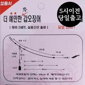 정음사 갑오징어 가지채비 가지줄 쭈갑 채비 더 예민한 국내생산, 60cm, 1개