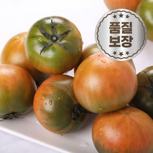 농협인증 대저 짭짤이 토마토 정품, 1개, 2.5kg (혼합과)