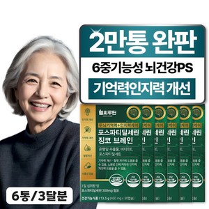 헬씨루틴 두뇌 기억력 인지력 케어 포스파티딜세린 징코 브레인, 6개, 30정