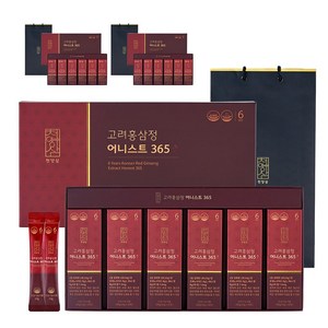 천양삼 6년근 고려홍삼정 어니스트 365 홍삼스틱 60포 선물세트 + 쇼핑백, 600g, 3개