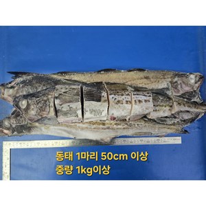 진짜 신선하고 진짜 큰 왕 동태 50CM이상 4마리 + 명태곤이450G /명태/동태5통, 1개, 동태4마리+명태곤이450G