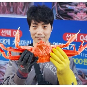 [동해안홍게직송] 맛난 포항홍게 품질보증 실속형홍게 10미 - 다리빼먹기용.라면용, 1개, 가성비(실속형)홍게 10마리