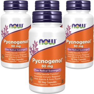 나우푸드 피크노제놀 캡슐, 50정, 4개