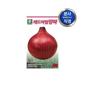 [다농] 레드아텀 양파 씨앗 100g . 중만생종 적양파 채소 씨 종자 주말 농장 텃밭, 1개