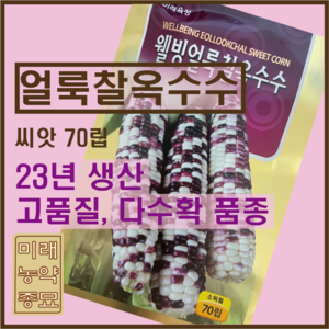 웰빙 얼룩찰옥수수 씨앗/국내산 찰옥수수-70립 (소독필), 1개