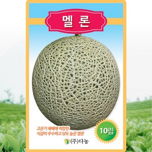 다농 멜론 씨앗 10립 메론씨 종자, 1개