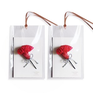 [오브제스타] 프리저브드(생화)카네이션카드, 2개