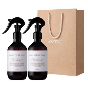 1+1 에이센트 네이처 3X 드레스퍼퓸 250ml + 선물용 쇼핑백, 13 시그니처솝*2, 2개