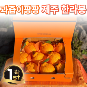 [꿀과즙폭발] 한라봉 선물세트 한라봉선물세트 설날선물세트, 1개, 가정용 2.5kg