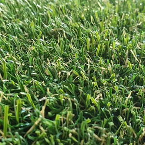 인조잔디 보급형잔디 봄잔디 국산잔디 잔디매트, 2mx5m, 봄잔디21mm, 1개