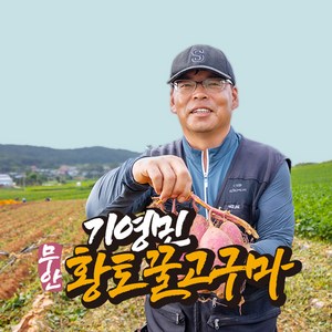 [착한농부] 기영민 무안 황토땅 꿀고구마 10kg #이렇게 달수가, 소 5kg (30-70g이내), 1개