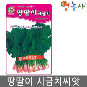 땅딸이 시금치 씨앗 35g 재래종 가을 월동시금치 종자 영농사, 11.무스탕시금치(봄가을)30g, 1개