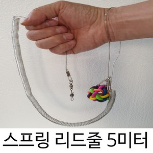 앵무새 산책용/ 횟대용 리드줄 (스프링/ 스텐), 스프링, 1개