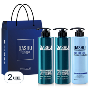 다슈 데일리 패스트 한방 두피 샴푸 500ml x 2p + 단백질 트리트먼트 500ml + 쇼핑백, 2세트
