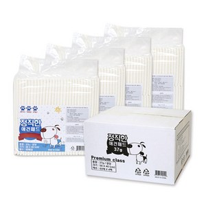 [정직한패드] 프리미엄 소형(50x40cm) 37g 240매 배변패드, 60개입, 4개