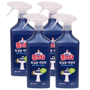 홈스타 욕실용 세정제 750ml, 4개