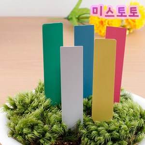 미스토토 테라리움 만들기 재료 1000여종