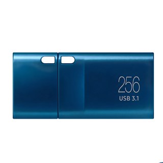 삼성 USB256