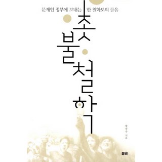 촛불철학:문재인 정부에 보내는 한 철학도의 물음, 풀빛, 황광우 저