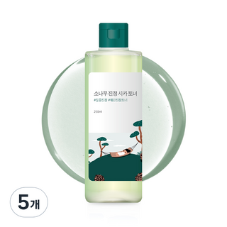 라운드랩 소나무 진정 시카 토너, 250ml, 5개