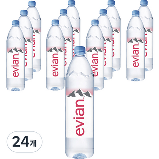에비앙 생수, 1L, 24개