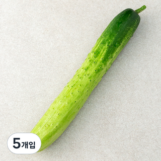 국내산 백오이 백다다기 오이 특품, 1개, 3kg내외 (13~18개 내외) 10 국내산 백오이, 1개입, 5개