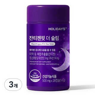 3. 홀리데이즈 잔티..