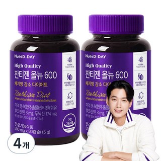 뉴트리디데이 잔티젠 올뉴 600 15g, 30정, 4개