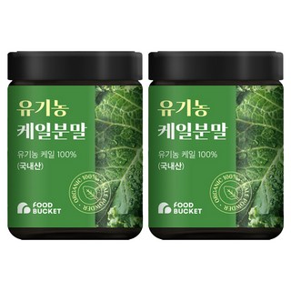 푸드버킷 유기농 케일분말, 100g, 2개